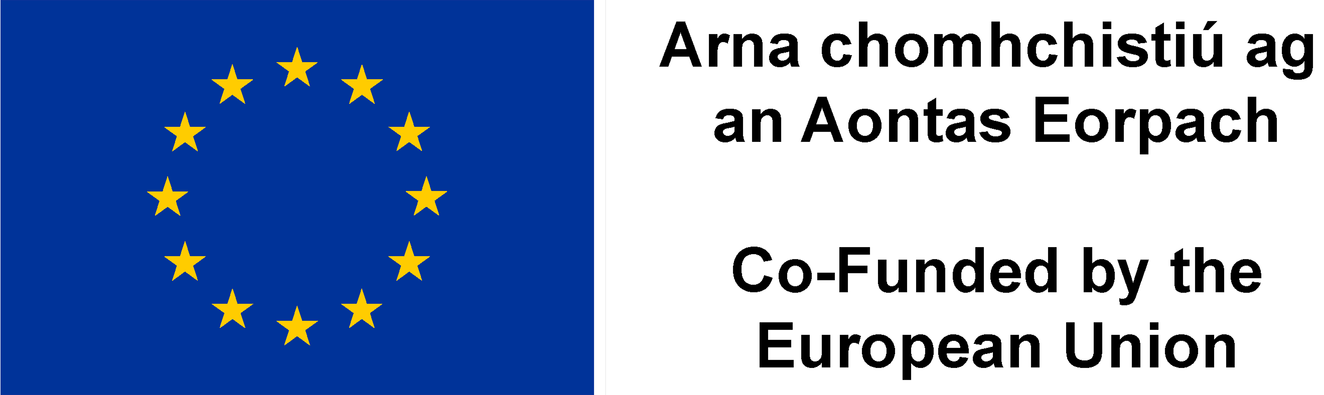 Co-Funded by the EU Logo